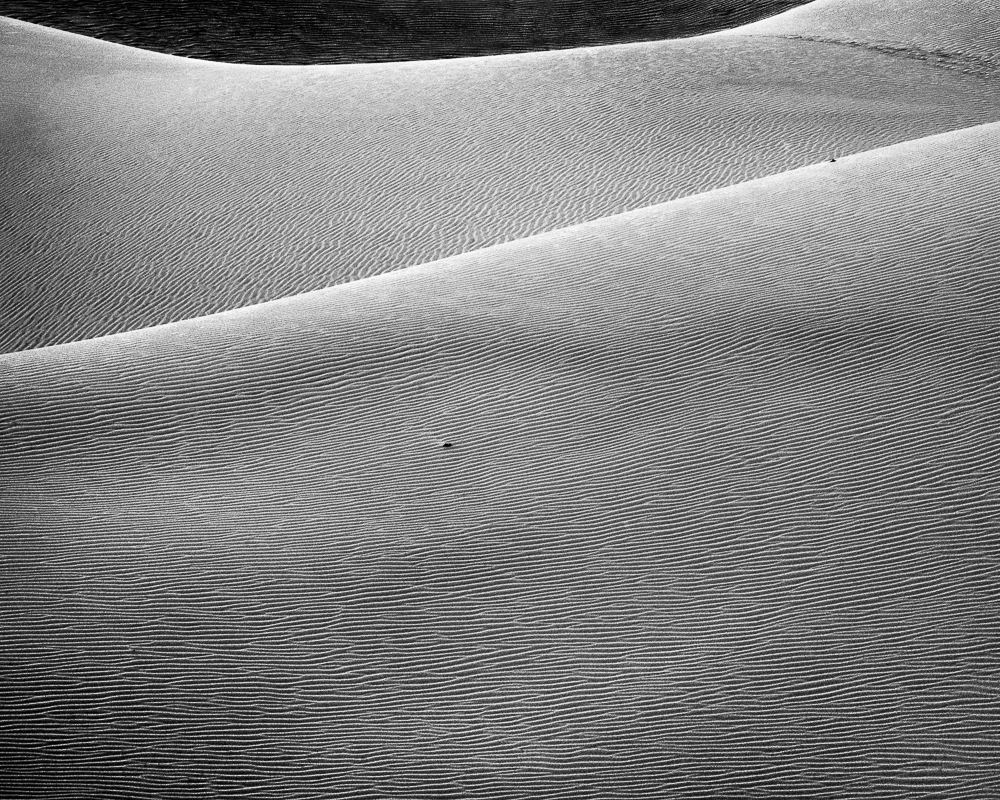 Dune Anatomy - Tony Hertz Black and White Landscape and Color Photography