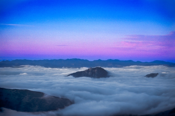 Bishop Peak and Fog (LE)