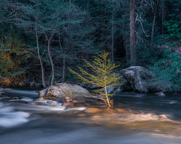 Last Light on the Merced (â€¢)