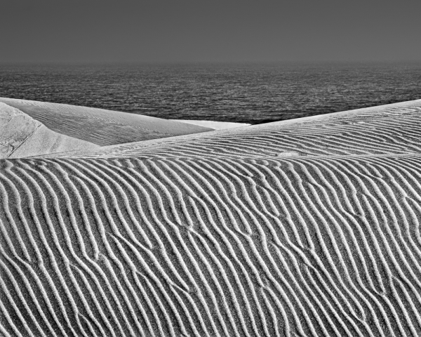 Dune Anatomy, Dunes to Sea (â€¢)