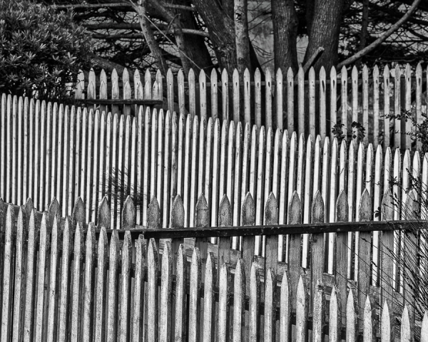 Fence Study (â€¢)