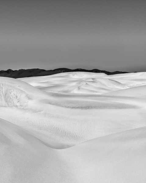 Sand Dunes to Oak Woodland, Dune Anatomy (â€¢)