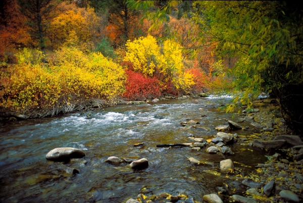 Meced River Colors