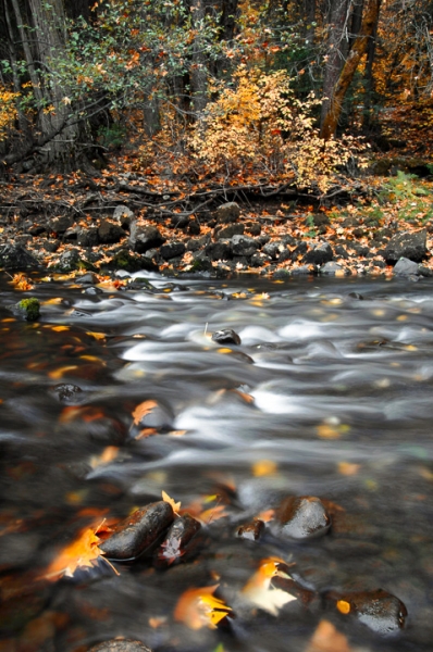 Autumn on the Merced (LE)