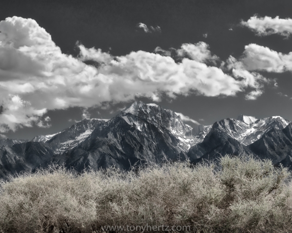 Tumbleweed Prospects and Mt. Whitney, Sierras (â€¢)