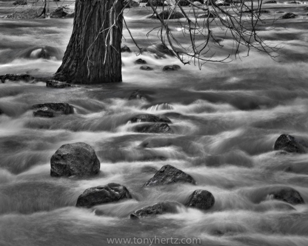 Merced River, Spring Waters, Yosemite (â€¢)