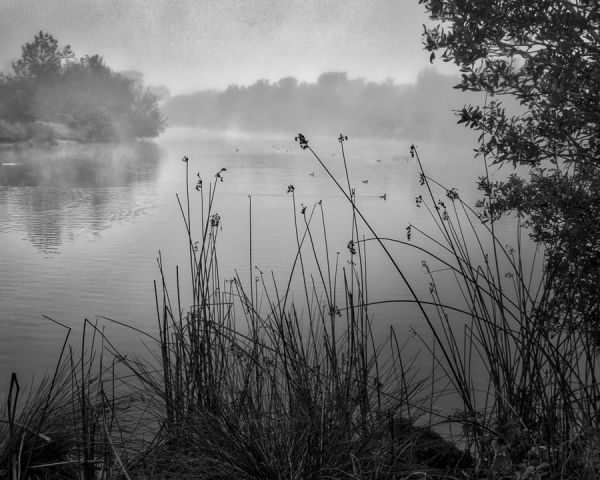 Foggy Lagoon, Oceano, CA.