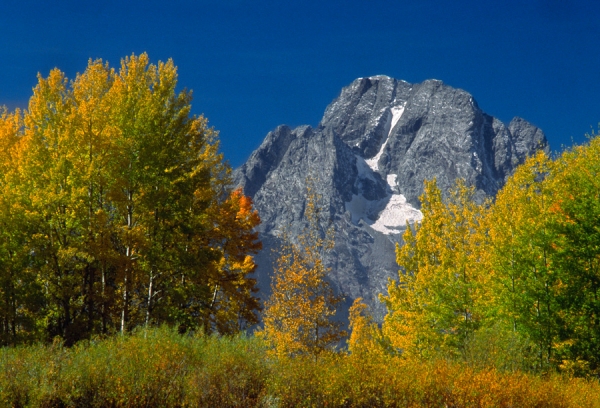 Autumn in Grand Tetons