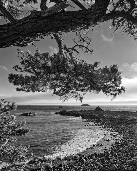 Pebble Beach Overlook (â€¢)