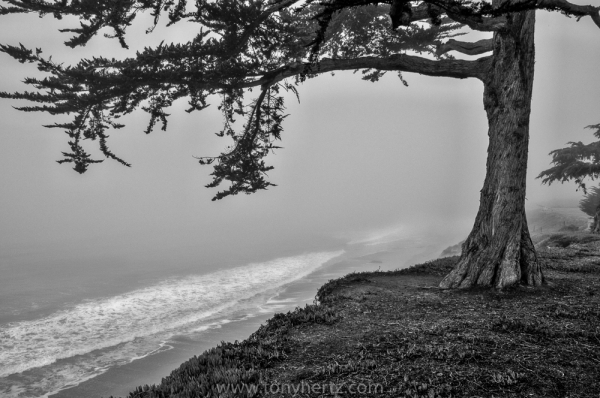 Foggy Overlook, Shell Beach, CA