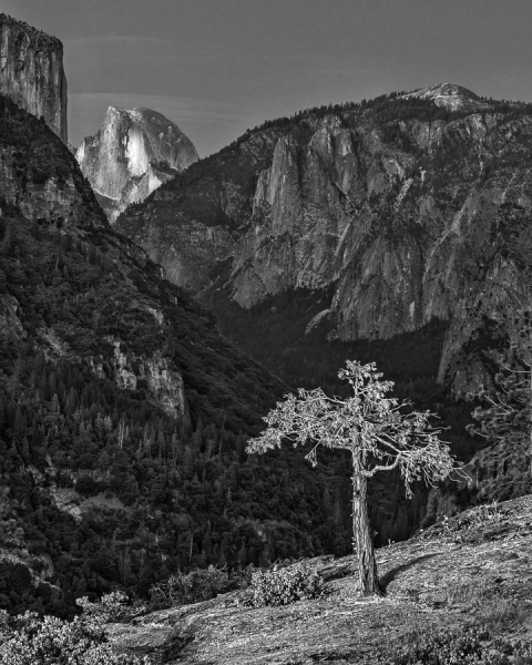 Half Dome Overlook, Yosemite National Park (â€¢)