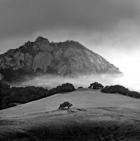 Bishop Peak Fog