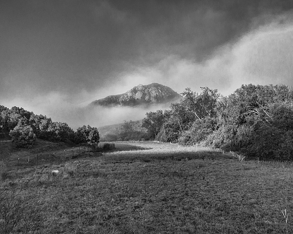 Fog Breaking around Bishop Peak