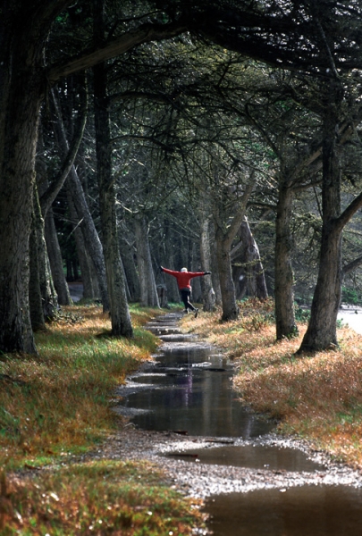 Morro Bay Runner Jumping