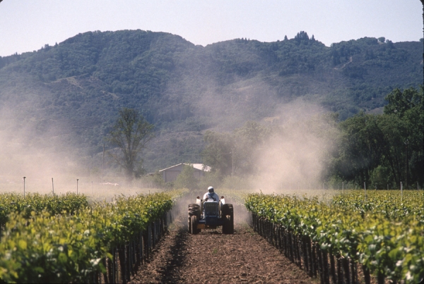 Vineyard Spraying