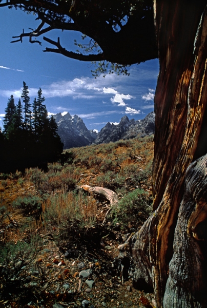 Eastern Sierra Range