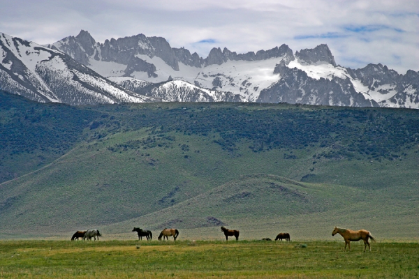 Sawtooth Range