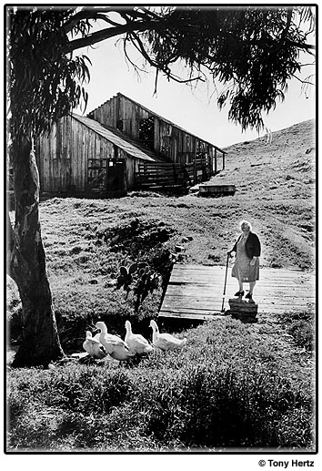 Broad Street Barn