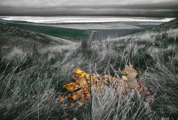 Carrizo Plains