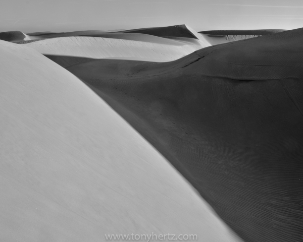 Polygon Shadow Dunes, Oceano, CA