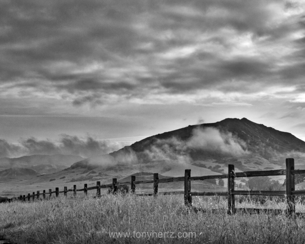 Chorro Valley Fence, San Luis Obispo