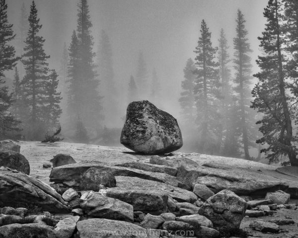 Erratic Rock, Storm Watch on Tioga Road, Yosemite (â€¢)