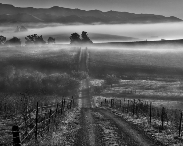 Morning Fog and Country Road, San Luis Obispo, CA