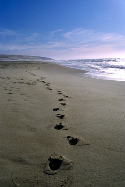 Footprints in the Sand