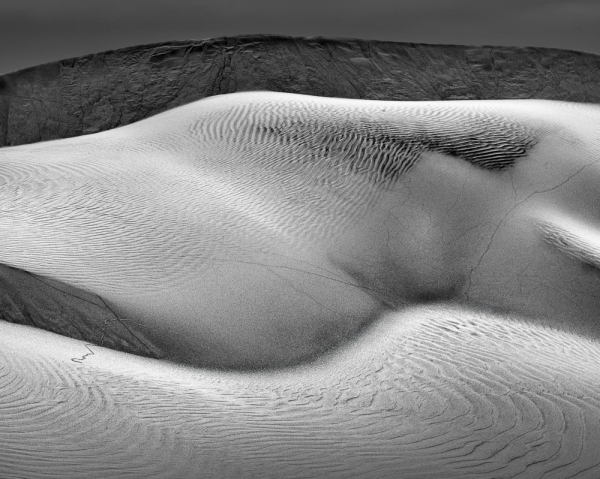 Dune Anatomy No. 3 (â€¢)