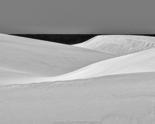 Oceano Dunes No. 25, Oceano, CA (â€¢)