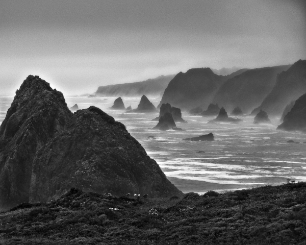 Mendocino Coast