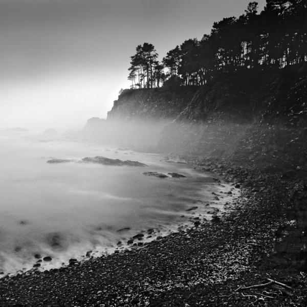 Foggy Cove