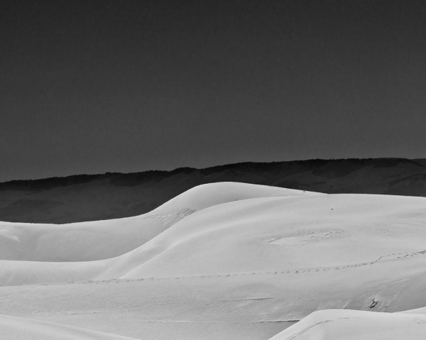 Buns in the Sun, Dune Anatomy (â€¢)