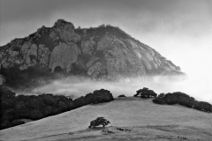 Bishop Peak Fog