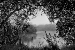 Fog_Pond_2